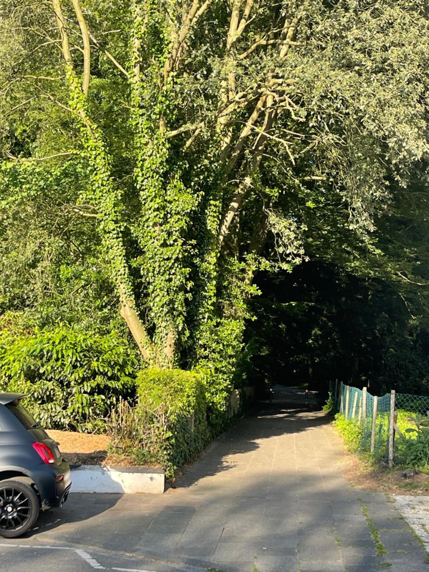 Appartement Zum Em Stadion Zu Fuss - Luxus Im Gruenen Keulen